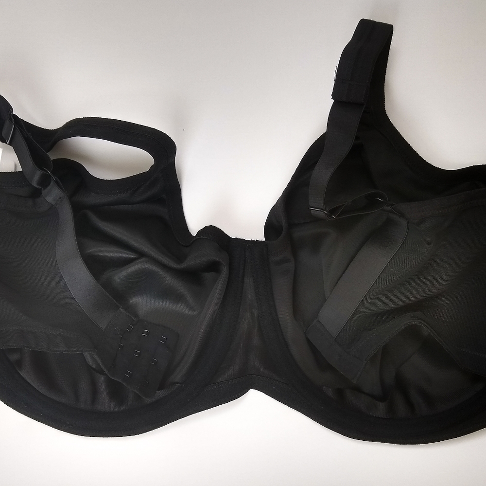 Bra - Picture 2 of 2